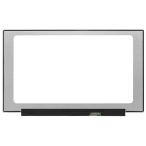17.3 PAPER 40 PIN QHD 165HZ NO BRACKET (NE173QHM-NY1)